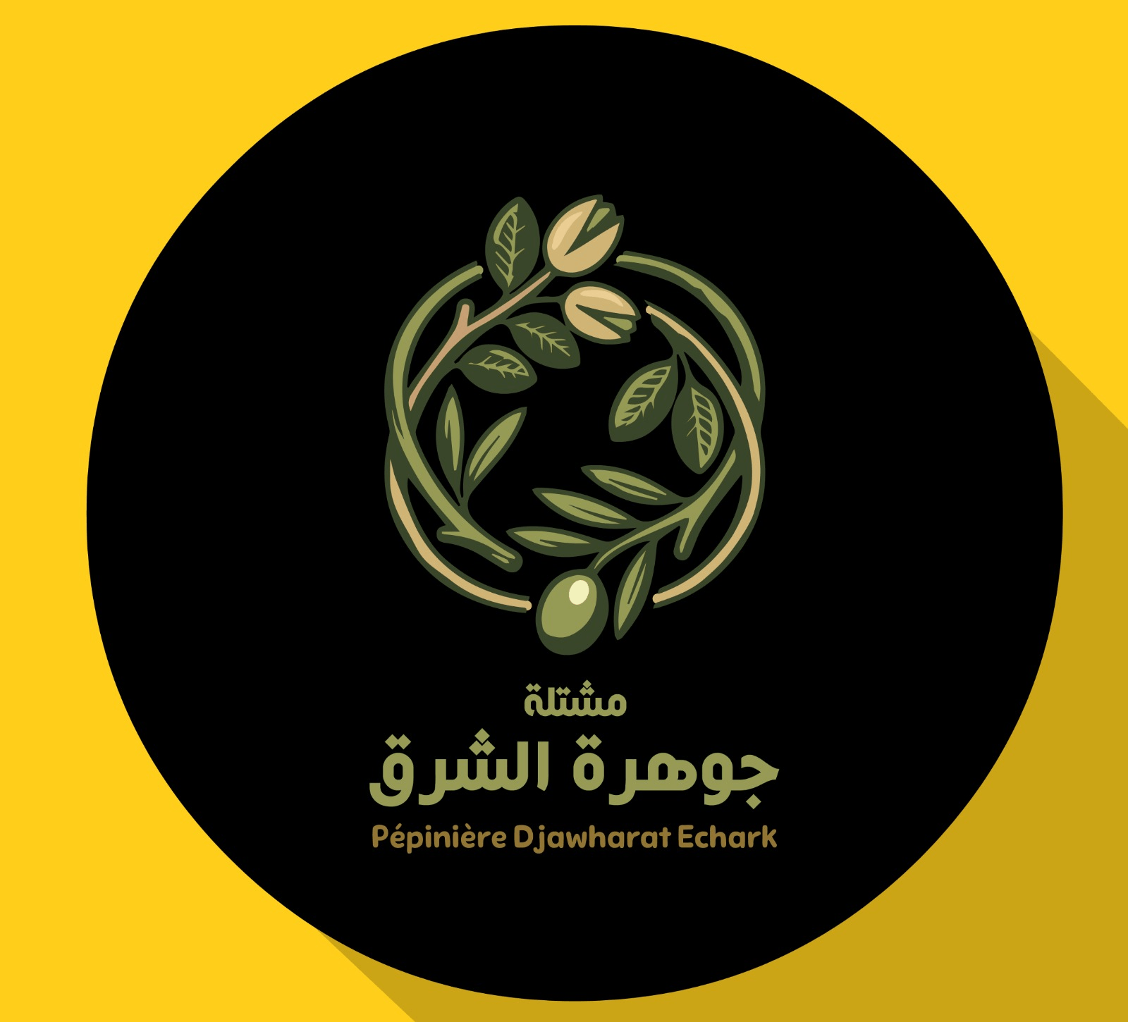 مشتلة جوهرة الشرق - شتلات زيتون وفستق وأشجار مثمرة